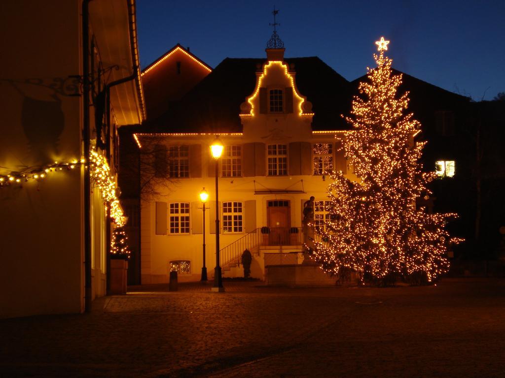 Hotel Gasthof Zum Ochsen Арлесхайм Экстерьер фото